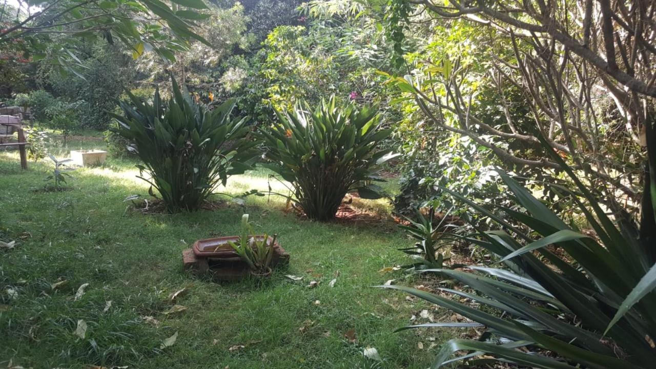 The Cottage-Place Of Grace 2Bdrm And Loft Bed All 4U At Usd58 Nairobi Ngoại thất bức ảnh
